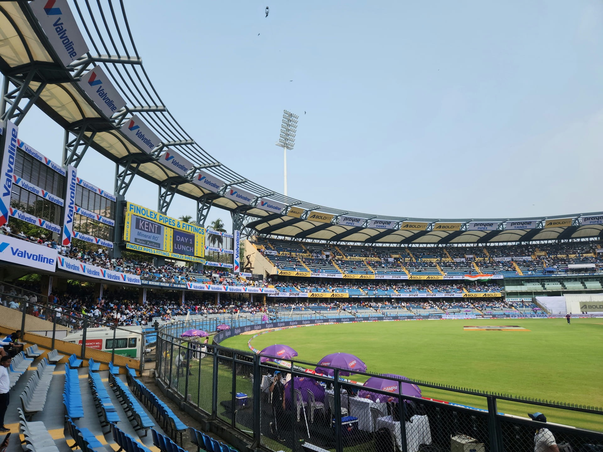 cricket-img4