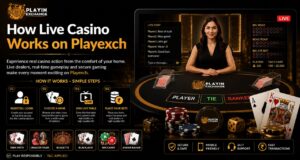 How Live Casino Works on Playin Exchange with live dealer gaming, casino table, online card games, and real-time gameplay features.
