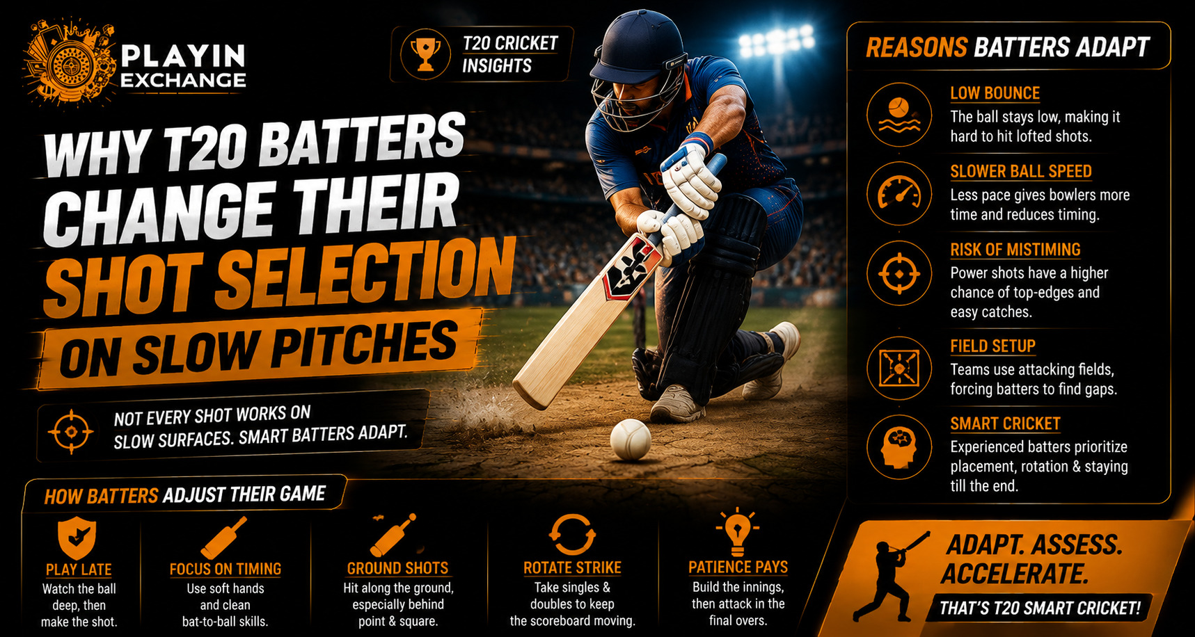 Why T20 Batters Change Their Shot Selection on Slow Pitches